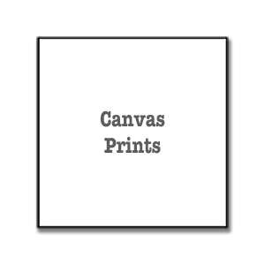 Canvas Prints